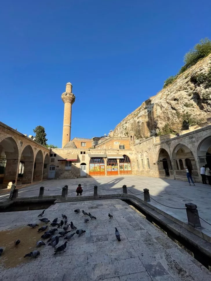 URFA (4)
