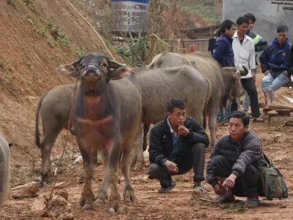 voyage-vietnam-coc-ly-marché (22)