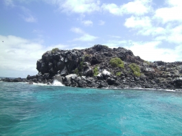 Galápagos (parc national)