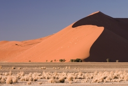 Namib (désert)