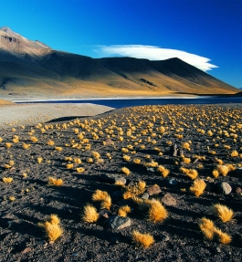 Nord, Atacama (désert)