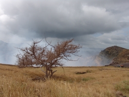 Sud-Ouest, Masaya