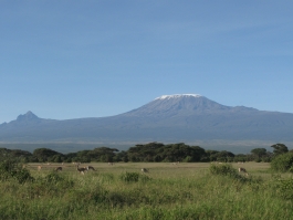 Amboseli (parc national)