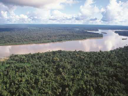 Amazonie (forêt)