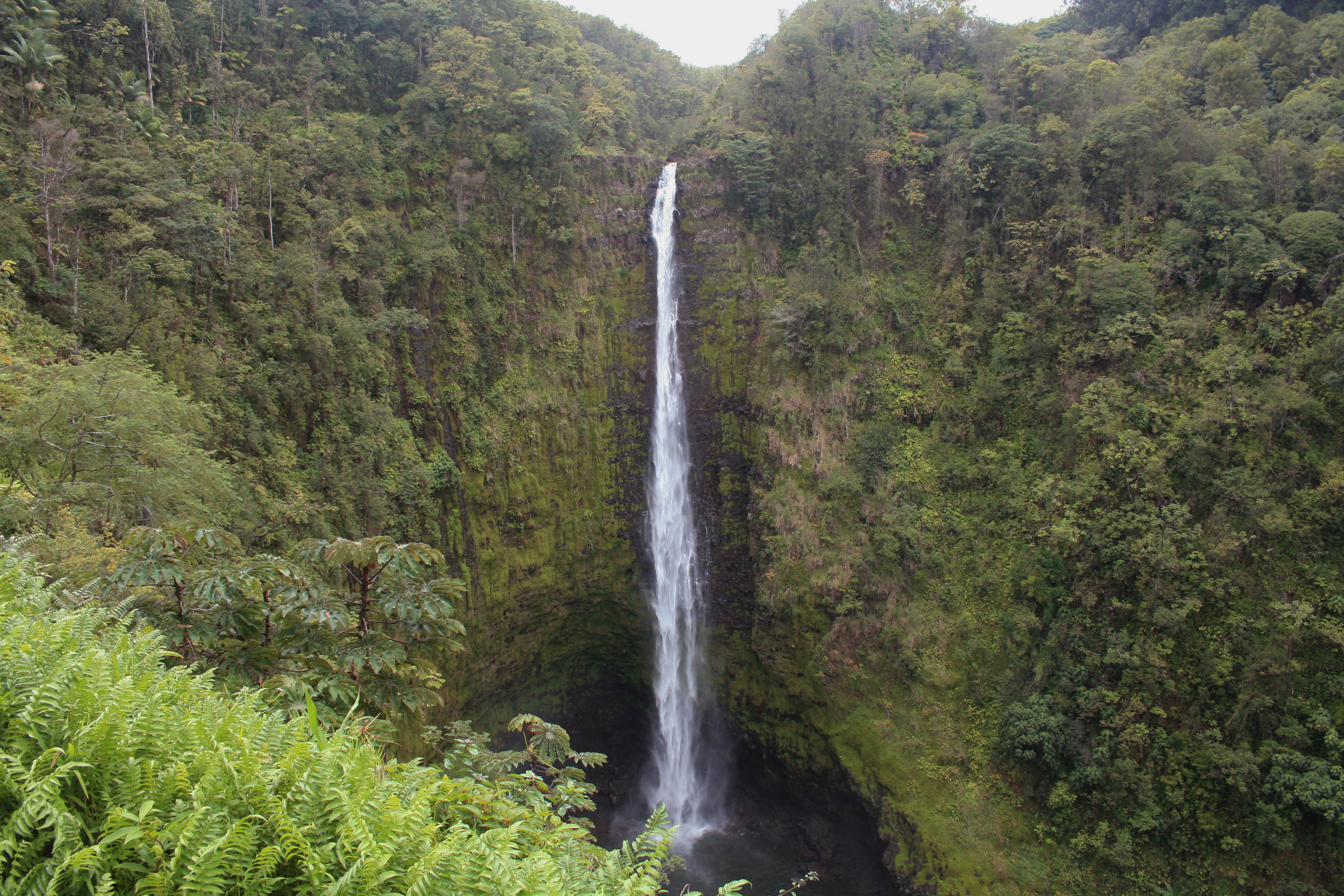 Big Island, Akaka falls