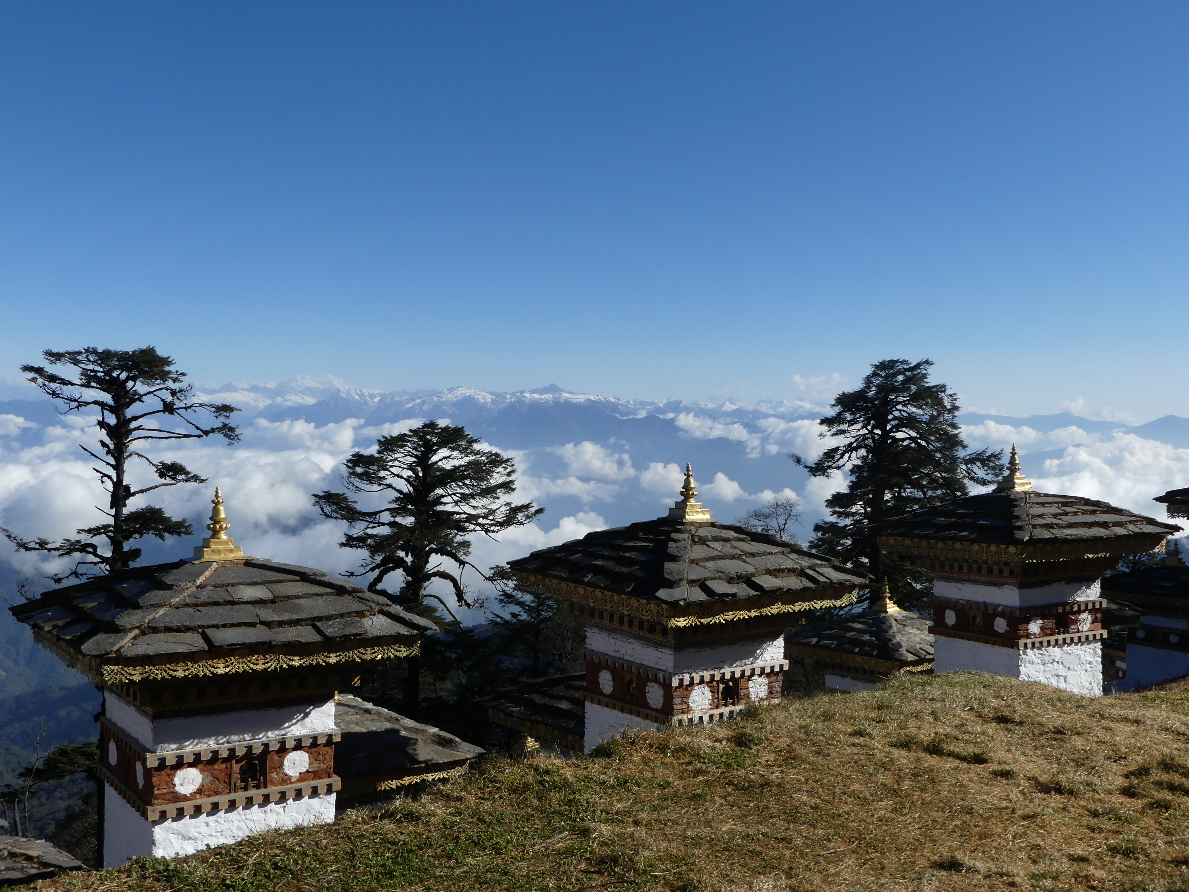 Thimphu (env.), Dochu la (col)