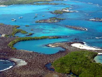 Galapagos, île Isabela