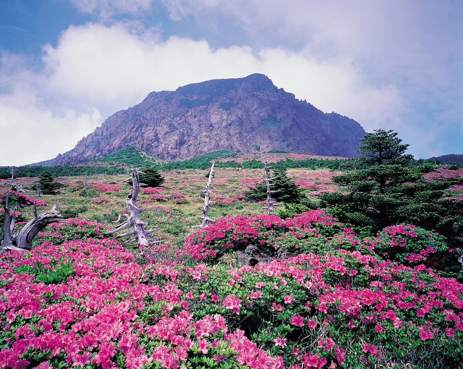 Ile de Jeju, Hallasan (parc national)