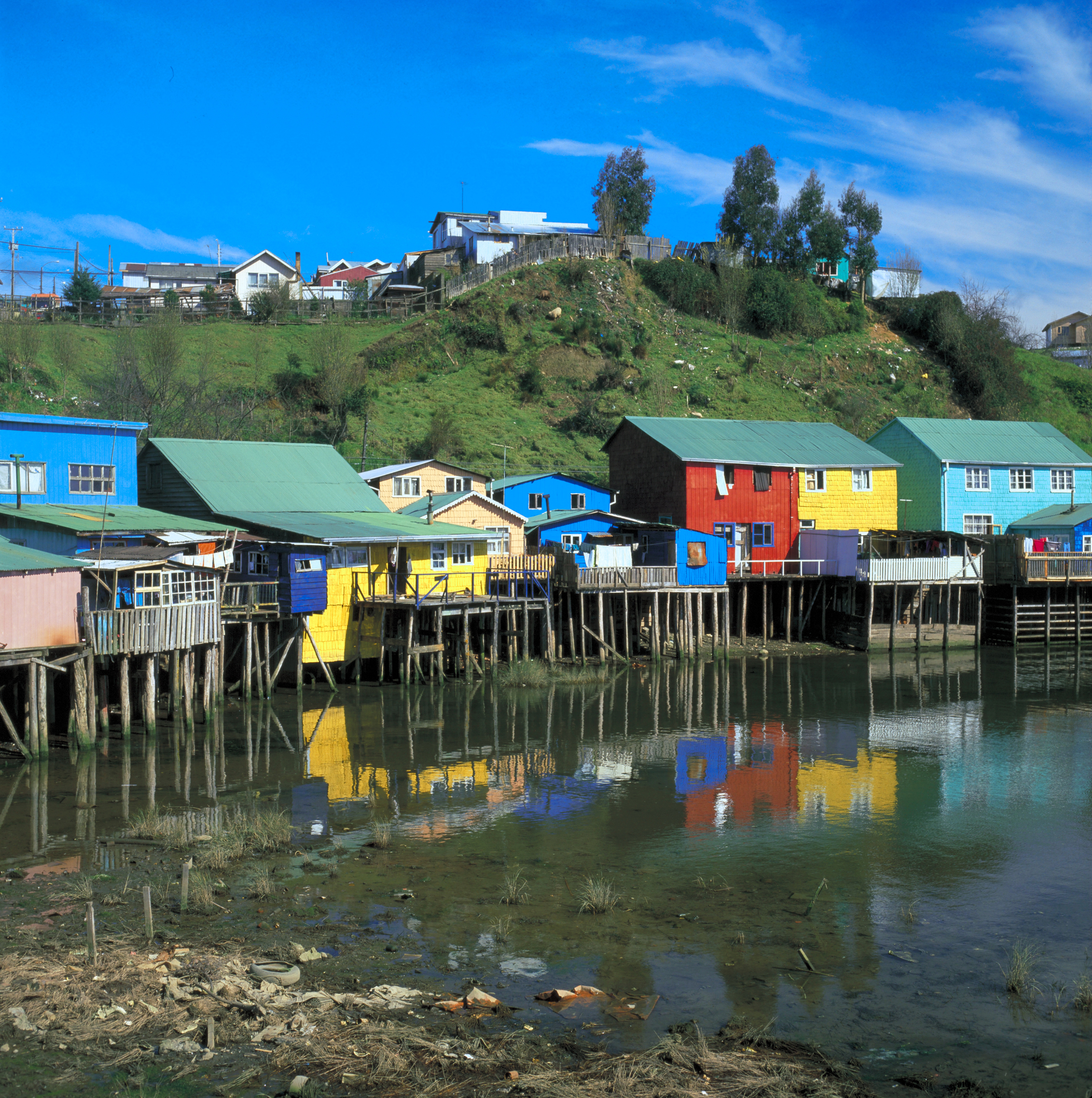 Chiloé (île)