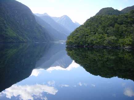 Ile Sud, Fiordland (parc national)