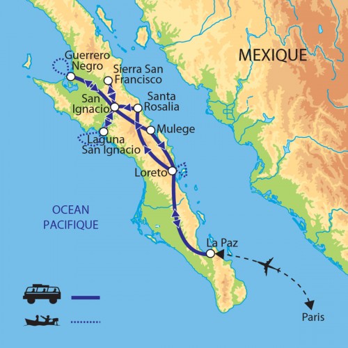 Carte : Mexique - Baleines, canyons et cactus